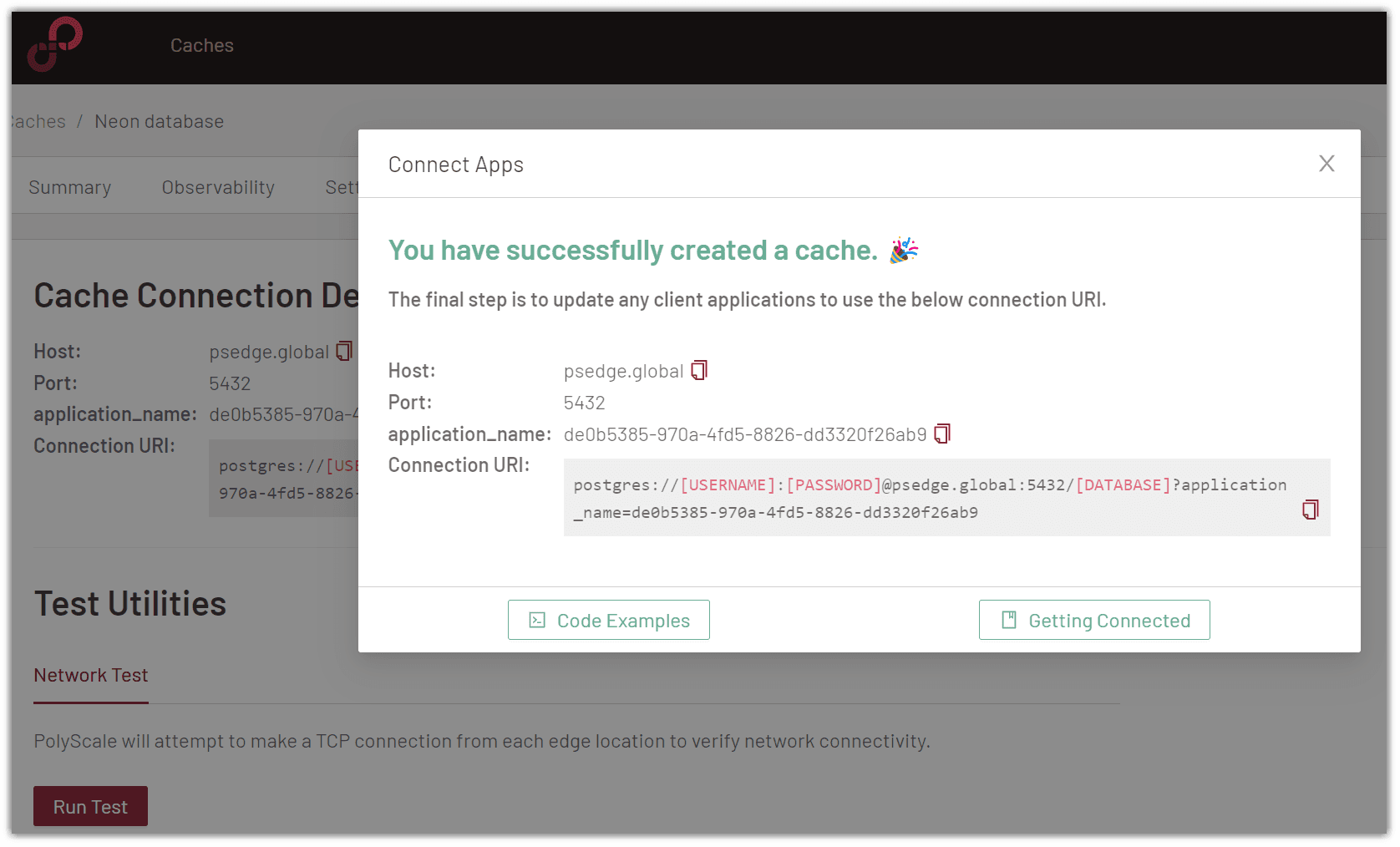 Create a PolyScale cache